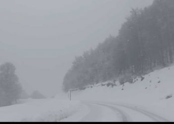 Έντονη χιονόπτωση στην Βασιλίτσα