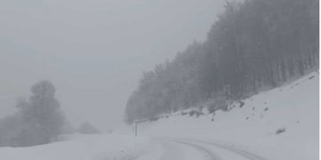 Έντονη χιονόπτωση στην Βασιλίτσα