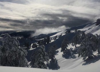 Πανέμορφες φωτογραφίες από το χιονισμένο Χ/Κ της Βασιλίτσας