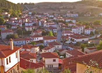 Η Πολύνερη Βλάστη – Του Κοσμά Πουγαρίδη