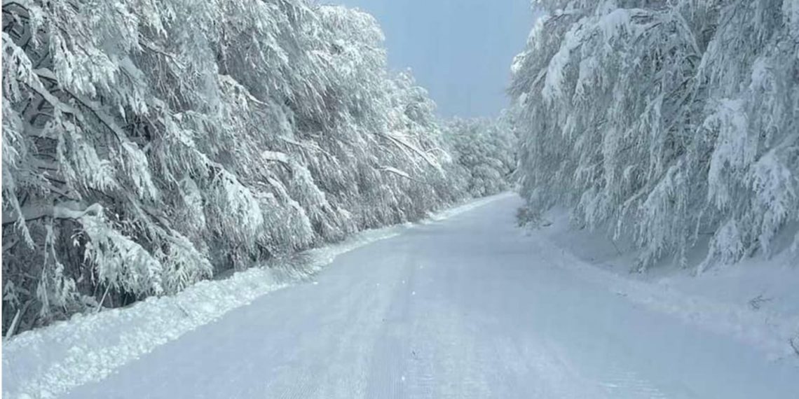 Ετοιμάζεται το Χιονοδρομικό Κέντρο Βιτσίου Καστοριάς – Πιο πιθανή ημερομηνία για έναρξη σεζόν η 18η Δεκεμβρίου