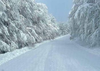 Ετοιμάζεται το Χιονοδρομικό Κέντρο Βιτσίου Καστοριάς – Πιο πιθανή ημερομηνία για έναρξη σεζόν η 18η Δεκεμβρίου