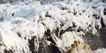 Άκρως χειμωνιάτικο τοπίο και στην Ασβεστόπετρα