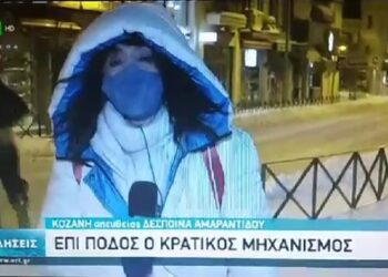 Απίστευτο απρόοπτο σε ζωντανή σύνδεση της ΕΡΤ3 με την Κοζάνη – Νεαρός έδειξε τα οπίσθια του! Video