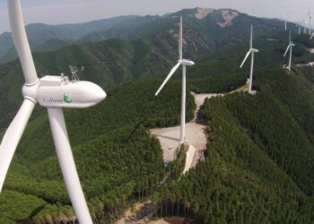 Αντιπεριβαλλοντικά τα αιολικά και με τη βούλα της επιστήμης