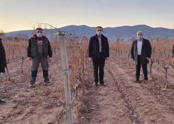 Επίσκεψη του Περιφερειάρχη Δυτικής Μακεδονίας στις Τ.Κ. Αγίου Παντελεήμονα και Πετρών του Δήμου Αμυνταίου – Στο επίκεντρο ο κλάδος της αμπελουργίας