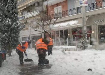 Οι εργαζόμενοι του Δήμου Εορδαίας στη μάχη με τη “Μήδεια”