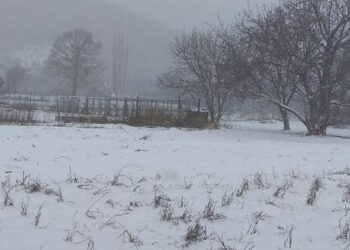 Στα λευκά και το Εμπόριο Εορδαίας