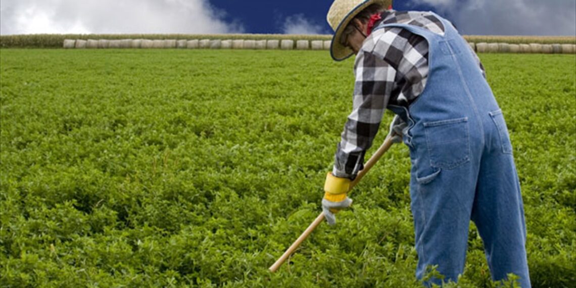 Υπουργείο Αγροτικής Ανάπτυξης και Τροφίμων :Ιστορικά δικαιώματα: Γκρεμίζουμε τις αδικίες κατά των νέων Συνδεδεμένη ενίσχυση: Χωρίς αιφνιδιασμούς