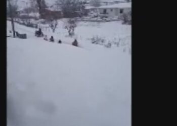 Άρδασσα: Παιχνίδια στο χιόνι για μικρούς και μεγάλους με γουρούνα στο ρόλο …έλκηθρου!! (VIDEO)