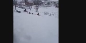 Άρδασσα: Παιχνίδια στο χιόνι για μικρούς και μεγάλους με γουρούνα στο ρόλο …έλκηθρου!! (VIDEO)