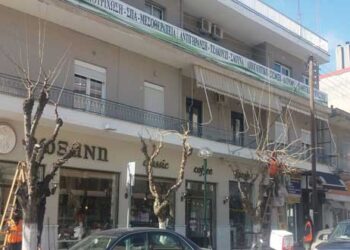 Ξεκίνησε το κλάδεμα των δέντρων σε όλο το εύρος του, ο Δήμος Εορδαίας (της Κούλας Πουλασιχίδου)