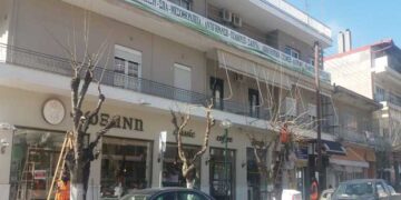 Ξεκίνησε το κλάδεμα των δέντρων σε όλο το εύρος του, ο Δήμος Εορδαίας (της Κούλας Πουλασιχίδου)