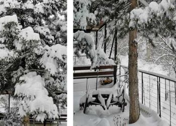 Φωτογραφικό αποτύπωμα της “Μήδειας” στο Μεσόβουνο