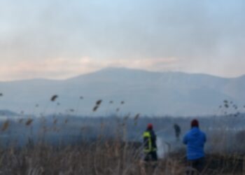 Σύλλογος Προστασίας Βεγορίτιδας:  Ο εφιάλτης της Περσεφόνης στη λίμνη Βεγορίτιδα
