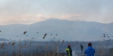 Σύλλογος Προστασίας Βεγορίτιδας:  Ο εφιάλτης της Περσεφόνης στη λίμνη Βεγορίτιδα