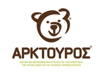 Τροχαίο ατύχημα με λύκο στο 11ο χλμ. Καστοριάς – Αμυνταίου