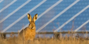 Ανάπτυξη έργων ΑΠΕ – Τι πρέπει να γνωρίζουν οι ιδιοκτήτες γης; – Χρήσιμες απαντήσεις από την Wattcrop Hellas, εταιρία με μεγάλη δραστηριότητα στις ΑΠΕ
