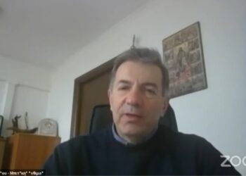 Τοποθέτηση του δημάρχου Αμυνταίου Άνθιμου Μπιτάκη στην διαδικτυακή ημερίδα  για τη βιώσιμη ανάπτυξη και την πράσινη επιχειρηματικότητα