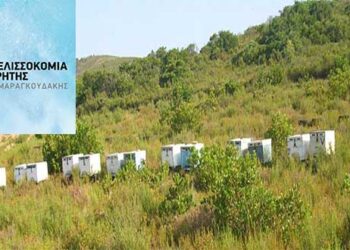 ΜΕΛΙΣΣΟΚΟΜΙΑ ΚΡΗΤΗΣ: 3η γενιά μελισσοκόμων με εξειδίκευση στην παραγωγή βασιλισσών – Ποιοτικό γενετικό υλικό και πολυετής εμπειρία τα μυστικά του Λ. Μαραγκουδάκη για τις καλύτερες βασίλισσες