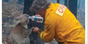 Πολίτες του κόσμου -S.O.S για την Κλιματική αλλαγή- Από την εφημερίδα του 5ου Γυμνασίου