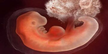 Περί δικαιώματος εκτρώσεων το ανάγνωσμα – Γράφει ο Κωνσταντίνος Κόττης