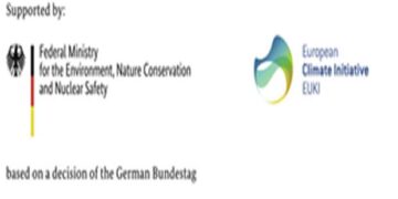 Η ΠΕΔ Δυτικής Μακεδονίας πραγματοποιεί Διαδικτυακή Συνάντηση με τίτλο: ”ΣΥΝ-Δημιουργία Στρατηγικών Μετάβασης” την Παρασκευή 12 Μαρτίου