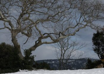 Καιρός: Ισχυρές καταιγίδες, άνεμοι και χιόνια – Πότε χαλάει ξανά ο καιρός