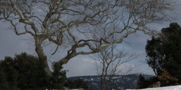 Καιρός: Ισχυρές καταιγίδες, άνεμοι και χιόνια – Πότε χαλάει ξανά ο καιρός