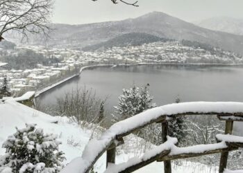 Κλείνει Προσωρινά το Τμήμα Κτηνιατρικής της Π.Ε. Καστοριάς λόγω κρουσμάτων Covid-19