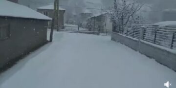 Σφοδρή χιονόπτωση στα ορεινά της Καστοριάς – VIDEO από την Κοτύλη