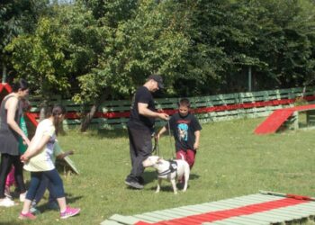 Animal Assisted Therapy: Ένα πρωτότυπο πρόγραμμα θεραπείας με σκύλους στην Κοζάνη