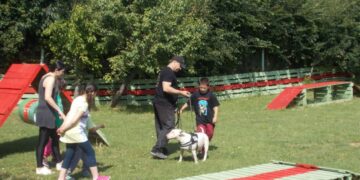 Animal Assisted Therapy: Ένα πρωτότυπο πρόγραμμα θεραπείας με σκύλους στην Κοζάνη