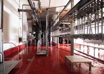 Το σφαγείο Κοζάνης θα παραμείνει κλειστό λόγω επιβεβαιωμένου κρούσματος COVID-19