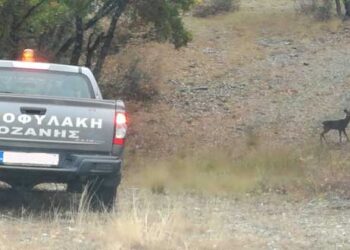 Ο Κυνηγετικός Σύλλογος Κοζάνης ενημερώνει τα μέλη του σχετικά με την περίοδο θήρας του αγριόχοιρου