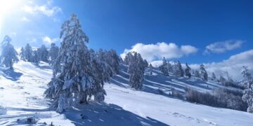 Γόνιμη συζήτηση με θετικές εξελίξεις για τις αναδασώσεις και το Χιονοδρομικό Κέντρο Βασιλίτσας, κατά την τηλεδιάσκεψη του Υφ.Προστασίας του Περιβάλλοντος κ. Γεώργιου Αμυρά με τον Περιφερειάρχη (δελτίο τύπου)