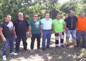 Γιάννης Αντωνιάδης Βουλευτής ΠΕ Φλώρινας: Κανονικά η χορήγηση των ενισχύσεων ήσσονος σημασίας ( de minimis)- Δελτίο τύπου