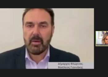 Ο Δήμος Φλώρινας συμμετείχε στο 1ο διαδικτυακό σεμινάριο ευαισθητοποίησης και ενημέρωσης για την κατάθλιψη