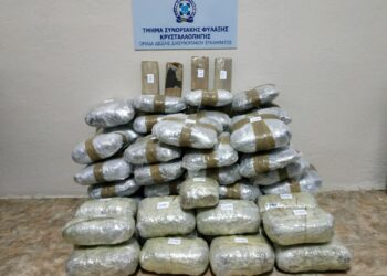 Συνελήφθησαν κατά τη διάρκεια οργανωμένης αστυνομικής επιχείρησης 5 αλλοδαποί, σε ορεινή περιοχή της Φλώρινας, για εισαγωγή μεγάλης ποσότητας ναρκωτικών -Κατασχέθηκαν 68 κιλά ακατέργαστης κάνναβης και πάνω από 2 κιλά κατεργασμένης