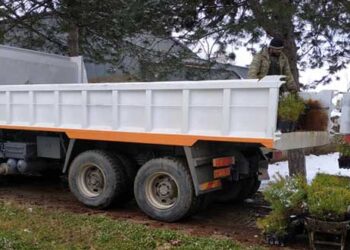 Π.Ε. Καστοριάς: Μεταφορά 3.550 δενδρυλλίων – Θα χρησιμοποιηθούν σε δράσεις αναδάσωσης