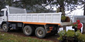 Π.Ε. Καστοριάς: Μεταφορά 3.550 δενδρυλλίων – Θα χρησιμοποιηθούν σε δράσεις αναδάσωσης