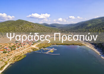 Ένα υπέροχο βίντεο από τους Ψαράδες Πρεσπών- του Ανδρέα Κουτσοθανάση