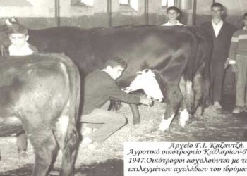 Από τις δραστηριότητες του Αγροτικού Ορφανοτροφείου Καϊλαριων-Πτολεμαϊδος ή, αν θέλετε, ιδρύματος το 1947 – Από τη στήλη του κ. Γ. Καζαντζή στον Παλμό 13/04/2021