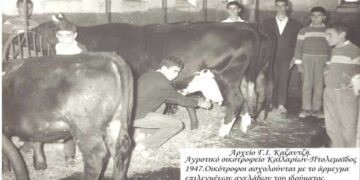 Από τις δραστηριότητες του Αγροτικού Ορφανοτροφείου Καϊλαριων-Πτολεμαϊδος ή, αν θέλετε, ιδρύματος το 1947 – Από τη στήλη του κ. Γ. Καζαντζή στον Παλμό 13/04/2021