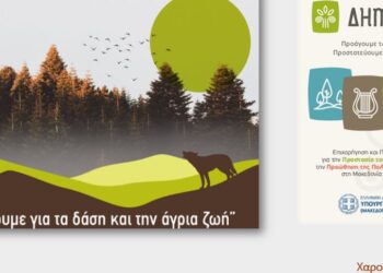 Ο ΑΡΚΤΟΥΡΟΣ διοργάνωσε επιμορφωτικό webinar με τη συμμετοχή 1.500 εκπαιδευτικών