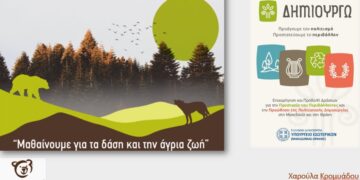 Ο ΑΡΚΤΟΥΡΟΣ διοργάνωσε επιμορφωτικό webinar με τη συμμετοχή 1.500 εκπαιδευτικών