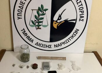 Σύλληψη 30χρονου αλλοδαπού σε περιοχή της Καστοριάς για διακίνηση ναρκωτικών ουσιών