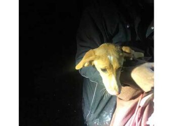 Διάσωση Σκύλου Μέσα από Πηγάδι από Την Πυροσβεστική Υπηρεσία Πτολεμαΐδας- Το ποστάρισμα του διοικητή Χρήστου Σπυρίδη