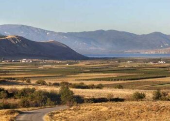 Συνάντηση Δημάρχου Αμυνταίου με την Διευθύντρια της Εταιρίας Ακινήτων Δημοσίου