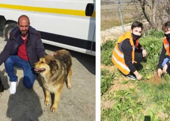 Δενδροφυτεύσεις και δράσεις ευαισθητοποίησης για τα αδέσποτα από τον Δήμο Εορδαίας-Φωτογραφίες